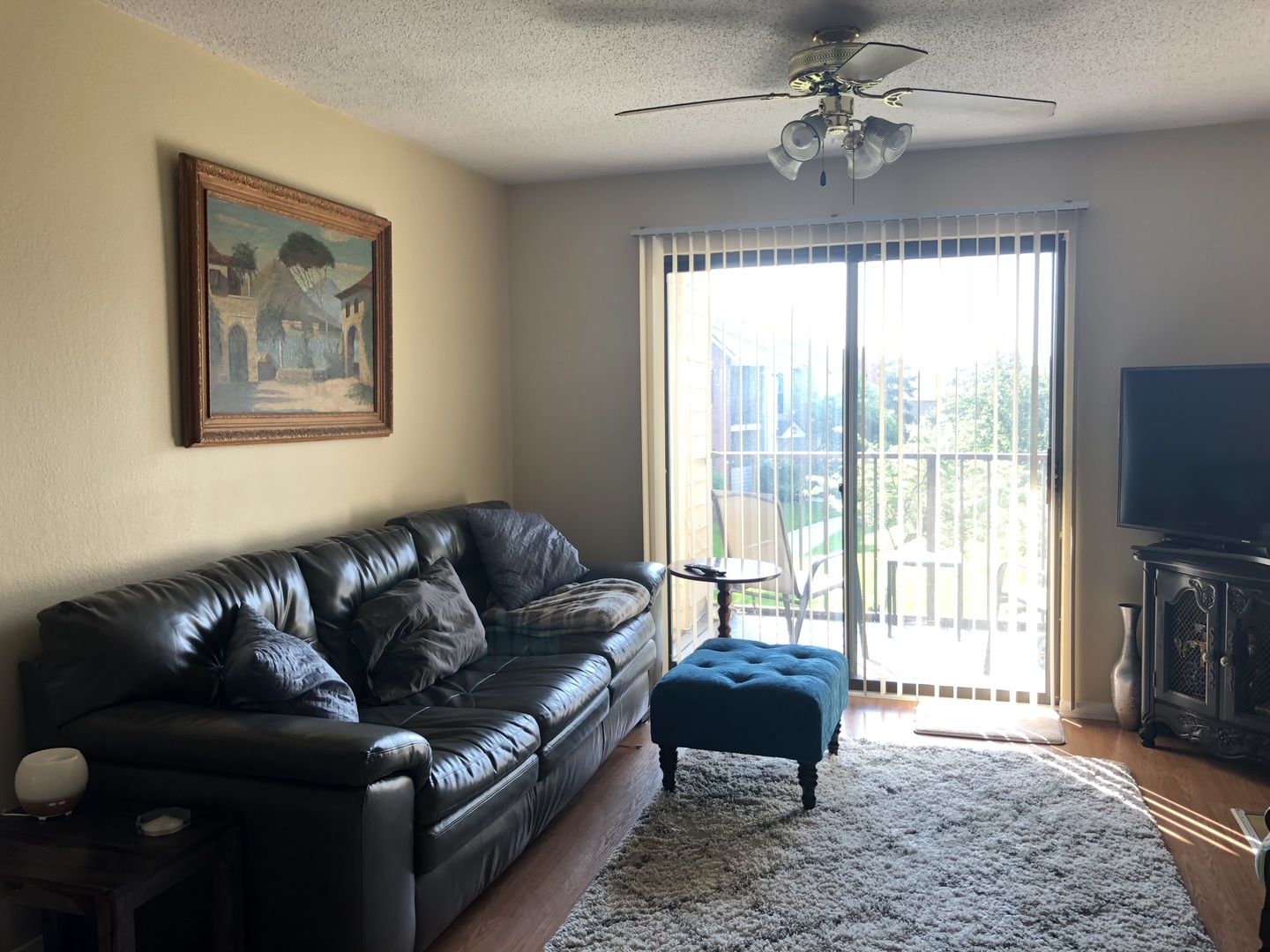 2048 North Rand Road, Unit 202 Palatine, IL 60074 - Photo 4 of 12 a living room with furniture and a flat screen tv
