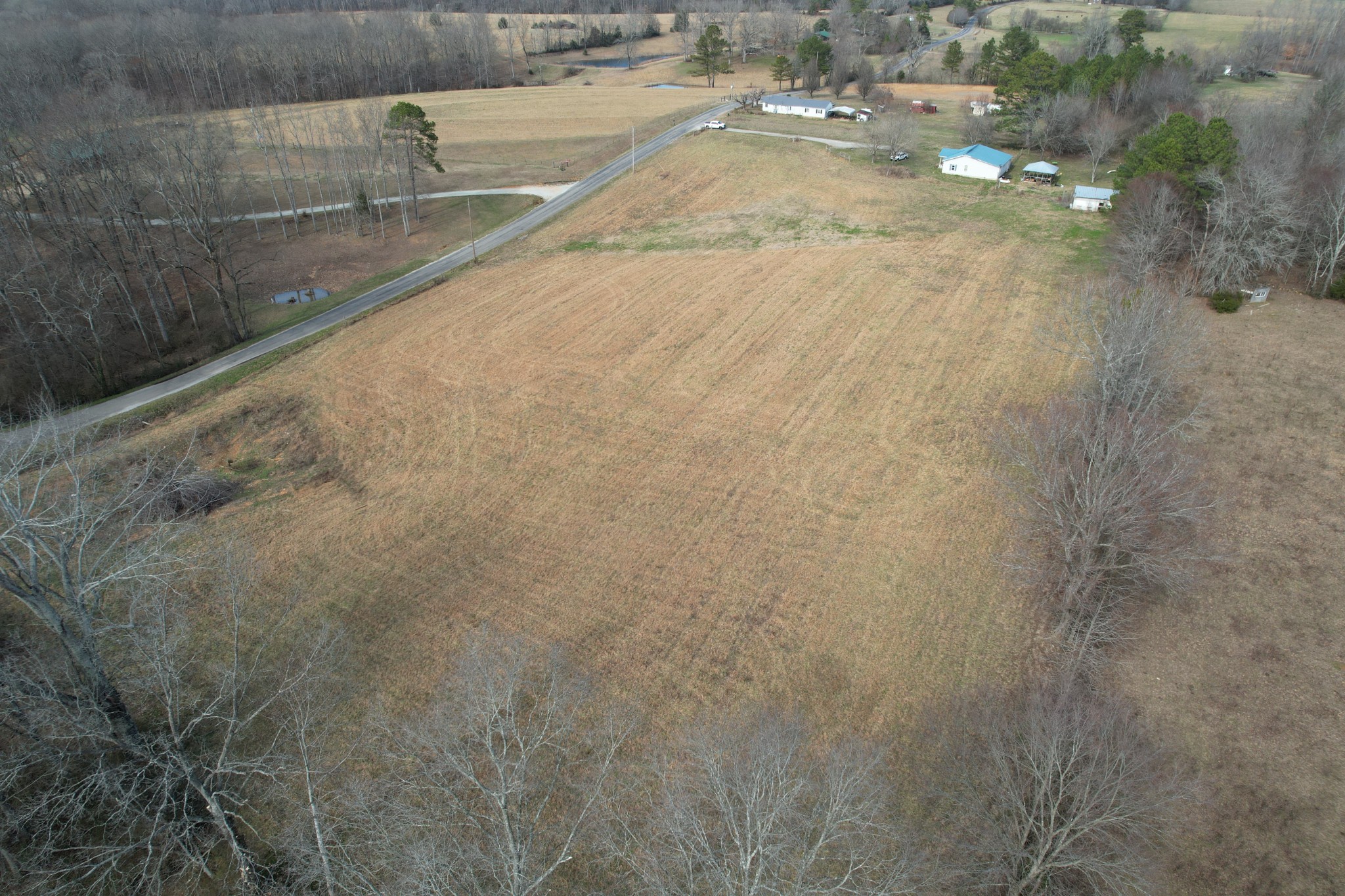 0 Prokesh Road Leoma, TN 38468 - Photo 4 of 7 Gallery Image 4