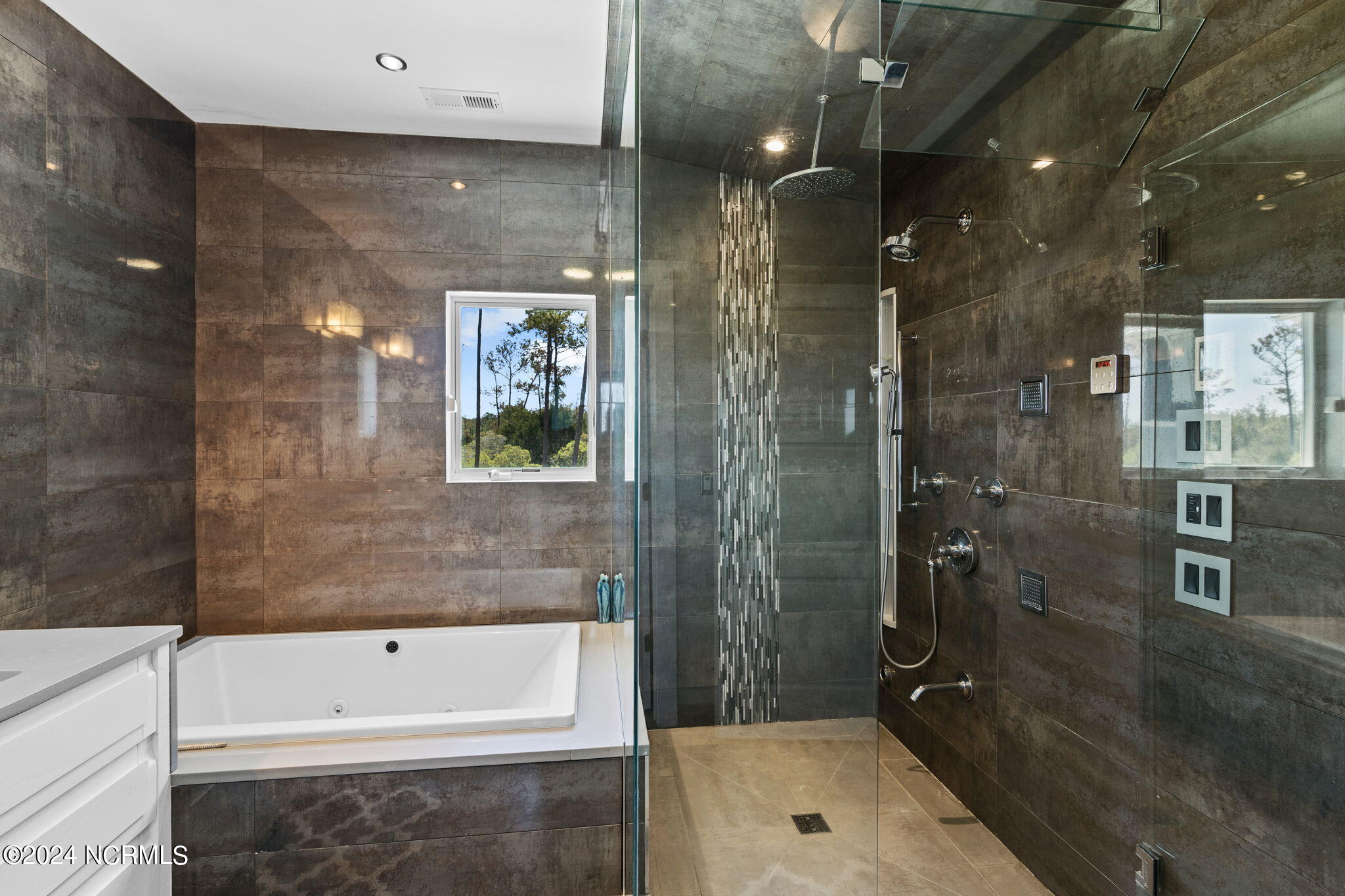 1411 Pasture Point Road Merritt, NC 28556 - Photo 27 of 96 Master Bath