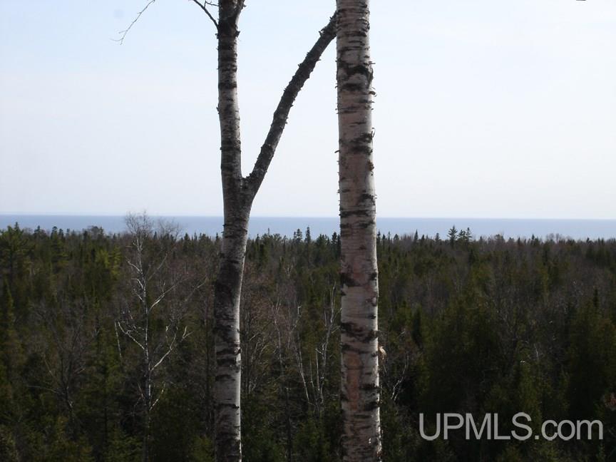 Tbd Northshore Bluffs Road, Unit 3 Manistique, MI 49854 - Photo 13 of 22