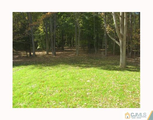 82 Major Road Monmouth Junction, NJ 08852 - Photo 6 of 6 Gallery Image 6