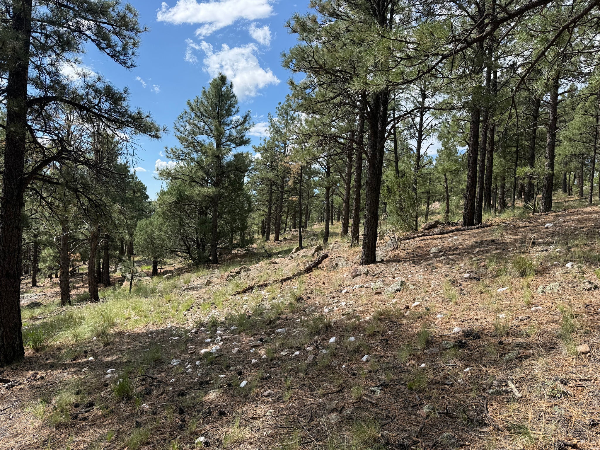 97 County Rd A010 Mora, NM 87732 - Photo 44 of 58 Gallery Image 44