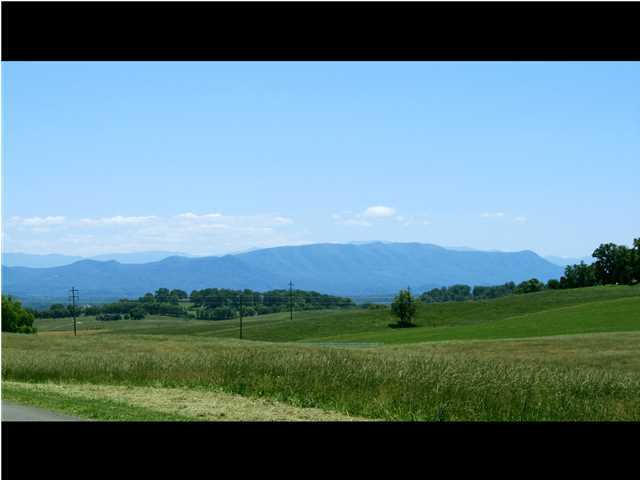 0 Carmichael Road Talbott, TN 37890 - Photo 2 of 5 Additional Photo