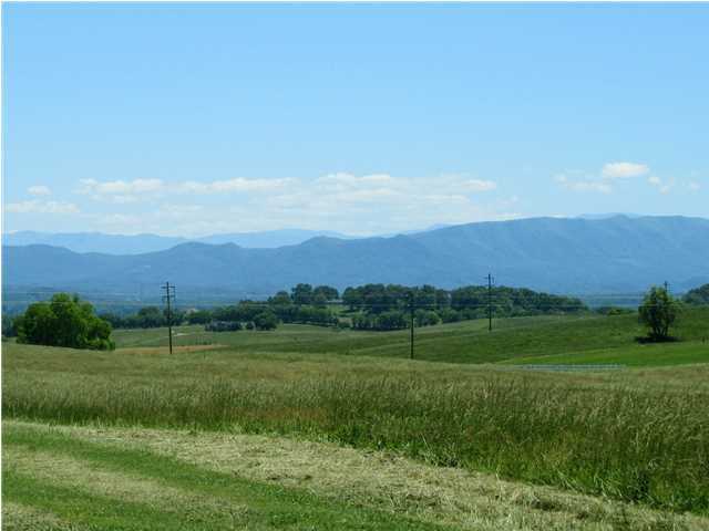 0 Carmichael Road Talbott, TN 37890 - Photo 3 of 5 Additional Photo