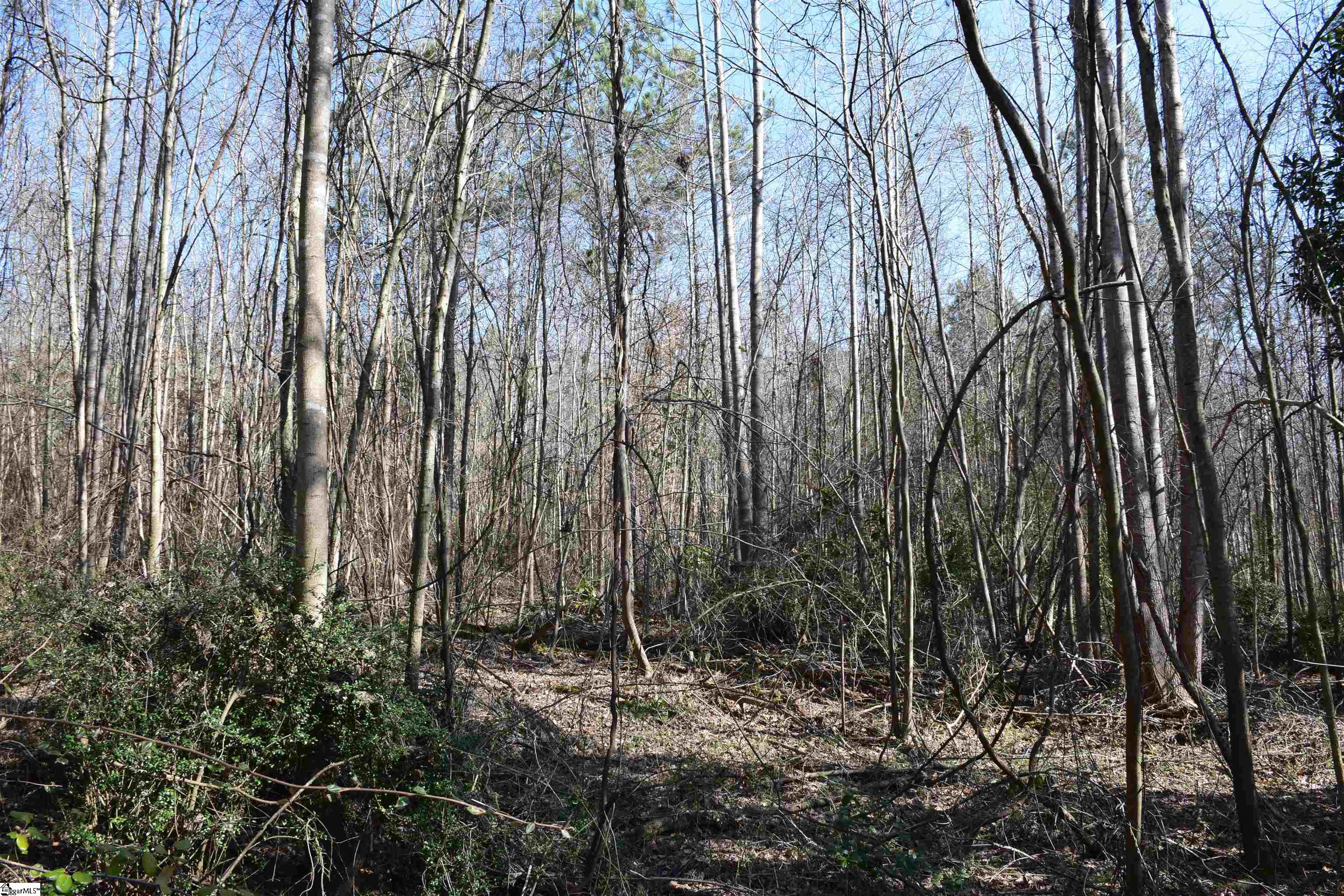 200 State Rd S-39-190 Pickens, SC 29671 - Photo 15 of 17 Gallery Image 15
