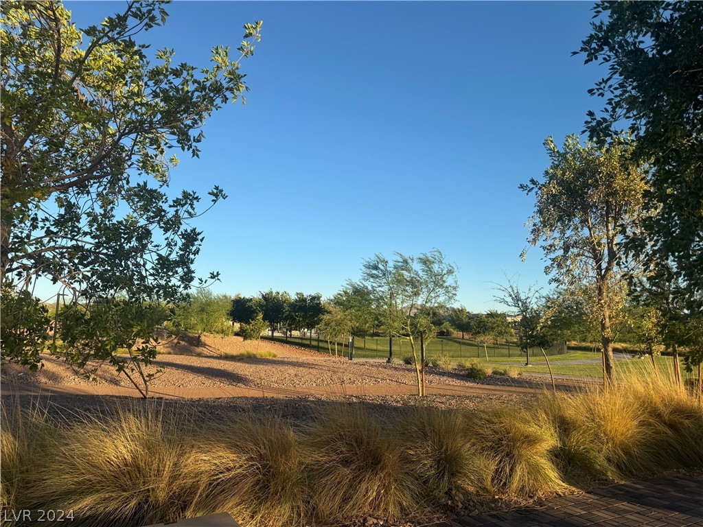 916 East Sunset Road Henderson, NV 89011 - Photo 44 of 49 Park