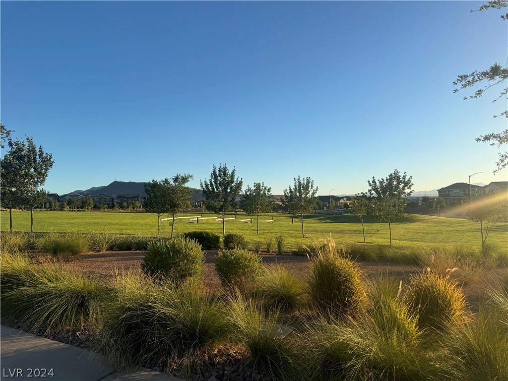 916 East Sunset Road Henderson, NV 89011 - Photo 45 of 49 Park