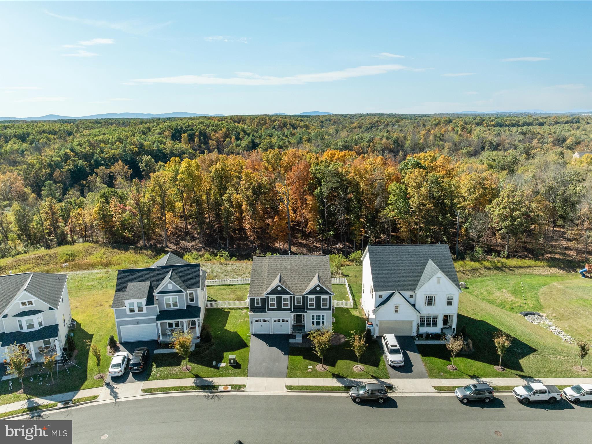 138 Jewel Stephenson, VA 22656 - Photo 57 of 70 an aerial view of a house with a garden and lake view