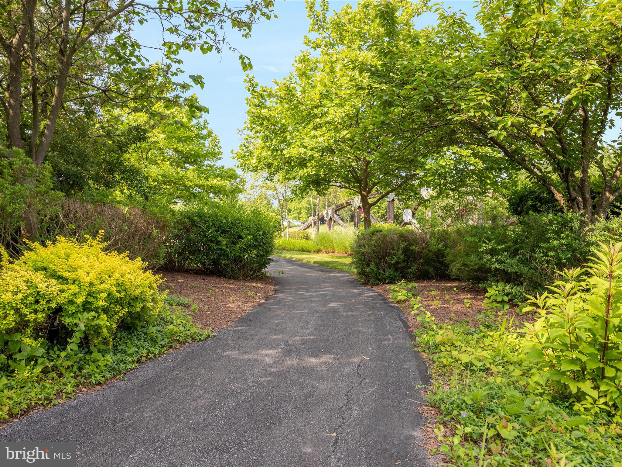 138 Jewel Stephenson, VA 22656 - Photo 60 of 70 a view of a yard with plants and large trees