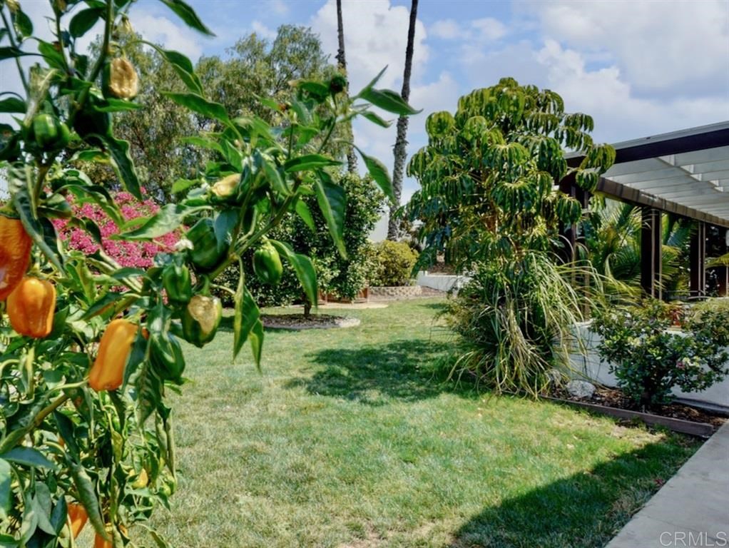 197 Del Sureno Fallbrook, CA 92028 - Photo 20 of 25 Gallery Image 20
