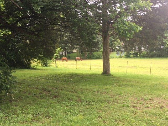 4806 Sullivan Road Knoxville, TN 37921 - Photo 4 of 13 Horses as neighbors