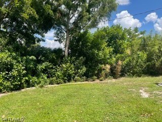 8185 Egret Road Fort Myers, FL 33967 - Photo 34 of 35 a view of yard with green space