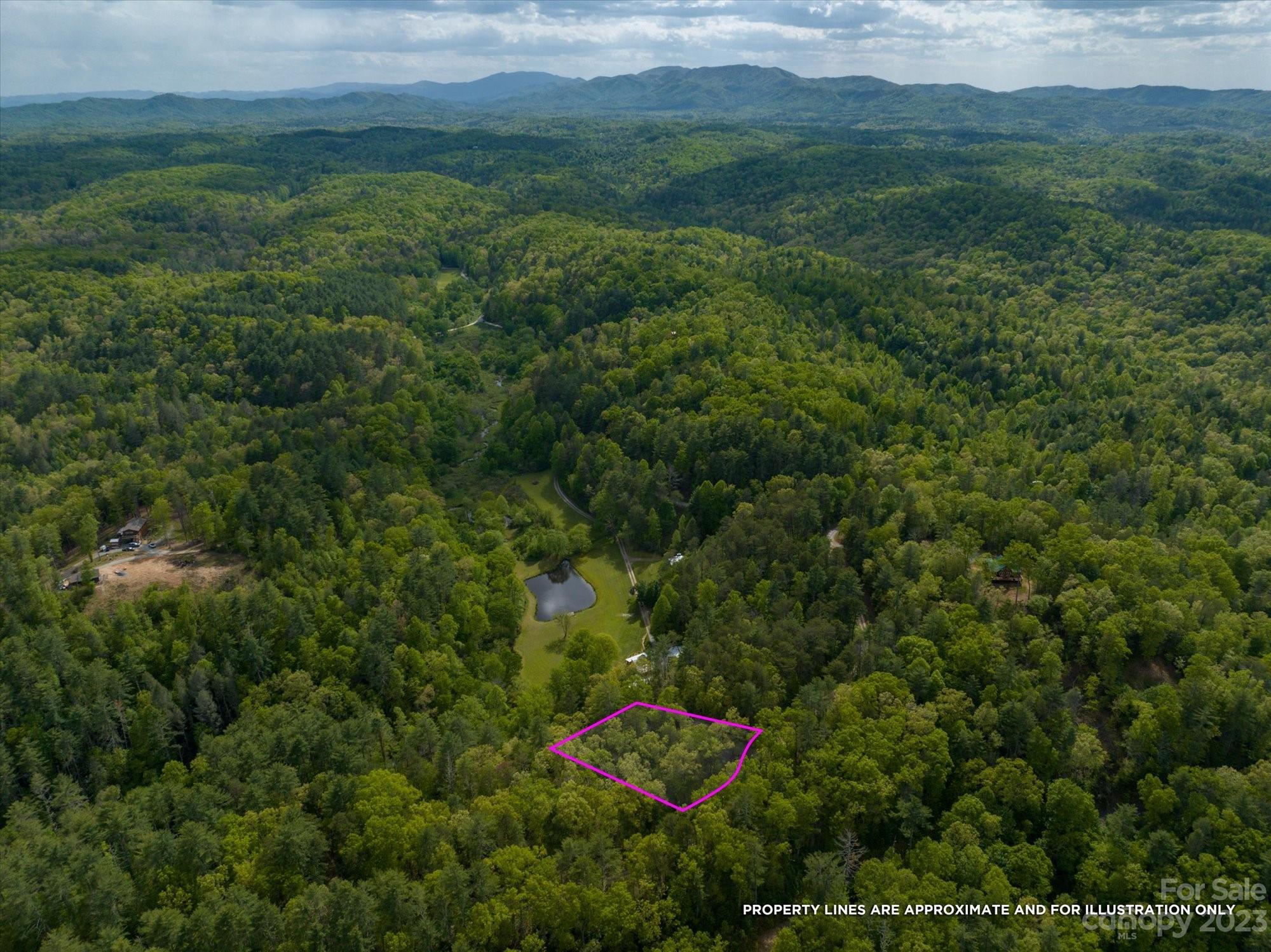 144 Camp David Road Murphy, NC 28906 - Photo 29 of 46 a view of a lush green forest with trees and some houses