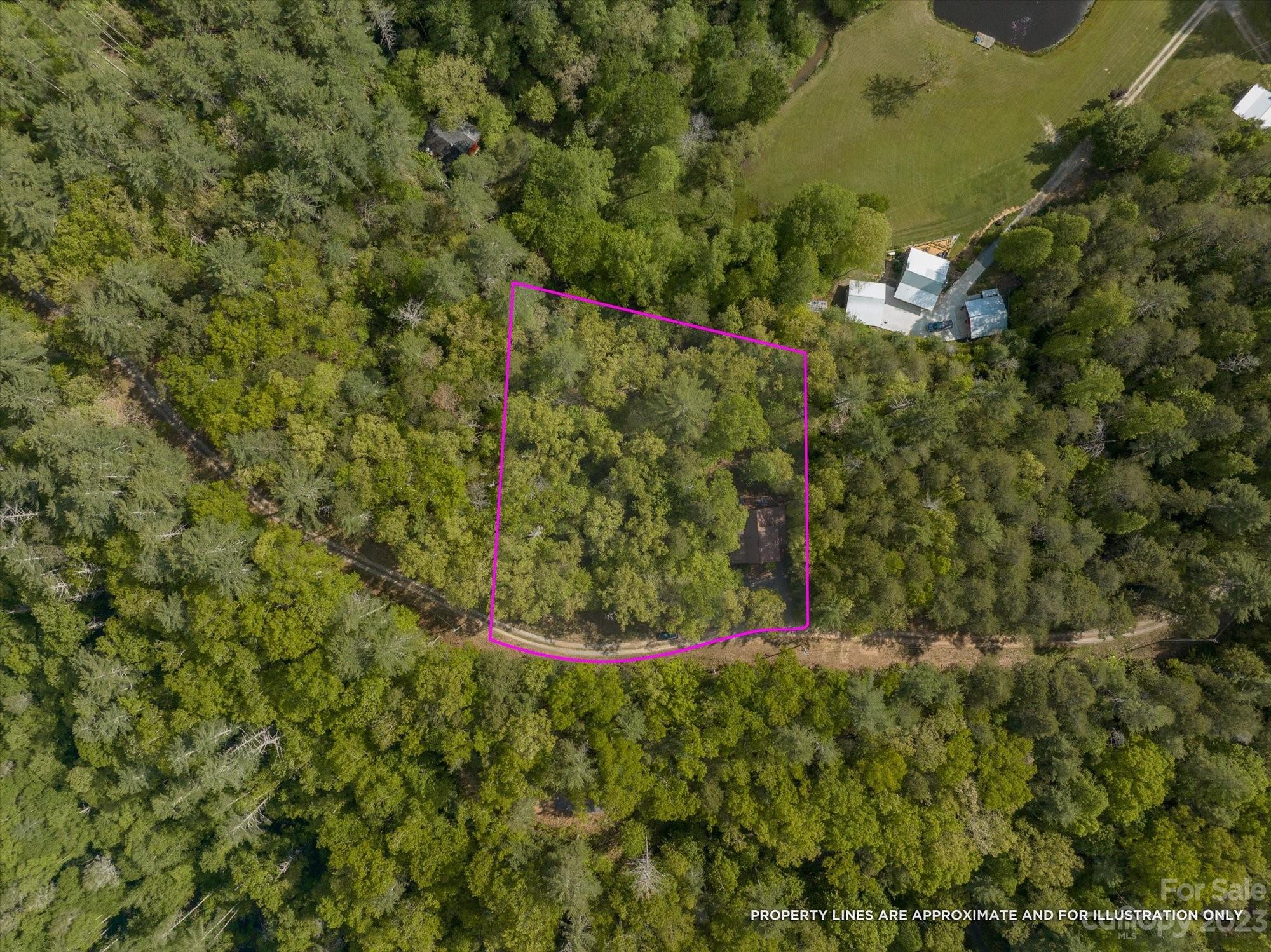 144 Camp David Road Murphy, NC 28906 - Photo 30 of 46 a view of a yard with plants and tree