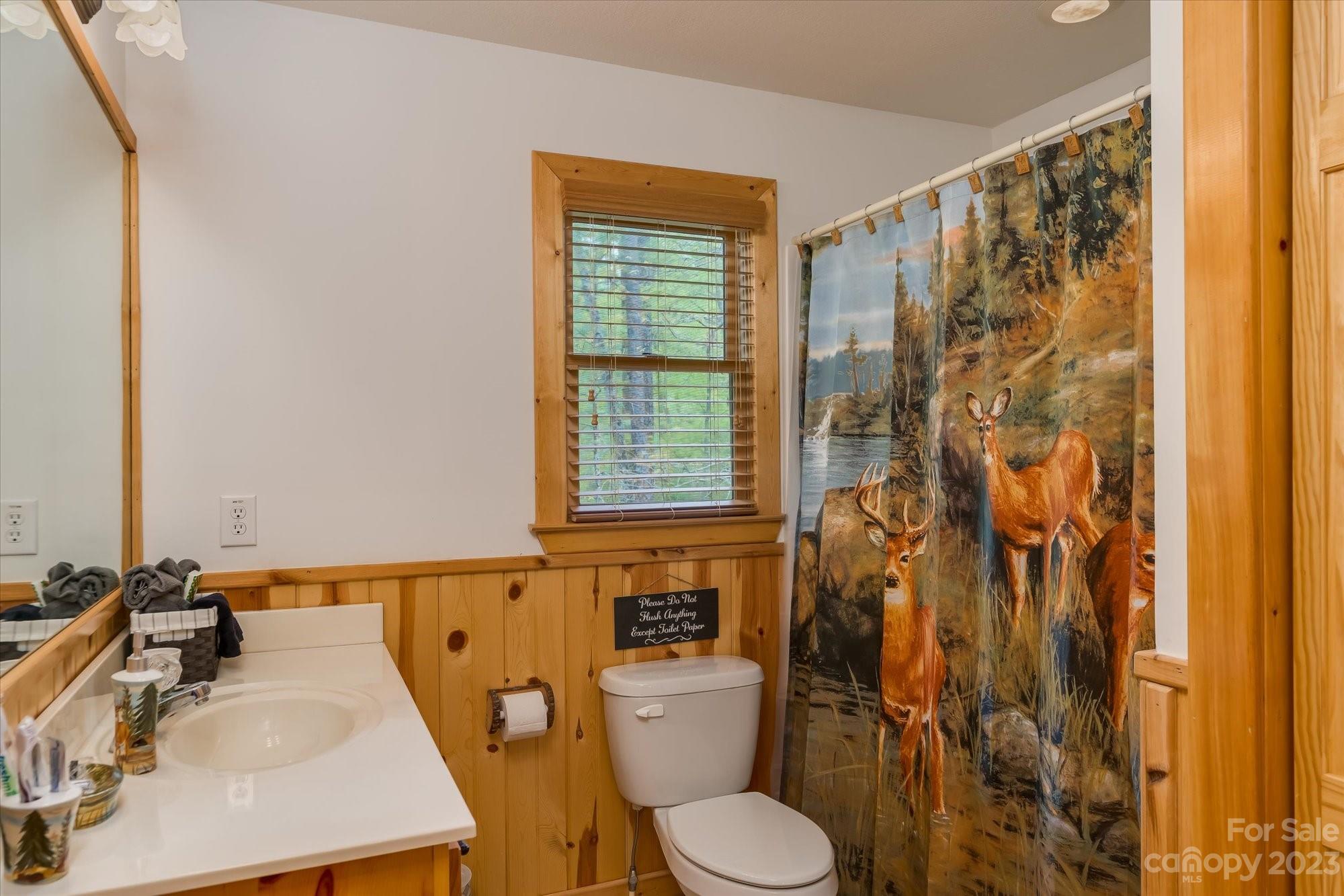 144 Camp David Road Murphy, NC 28906 - Photo 33 of 46 a bathroom with a sink toilet and shower