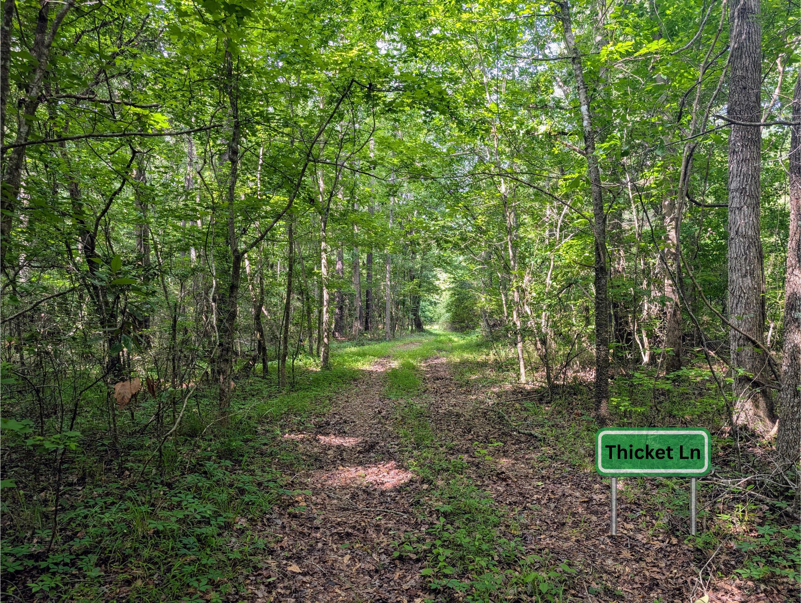 0 Thicket Lane St. Stephen, SC 29479 - Photo 4 of 14 Thicket Ln