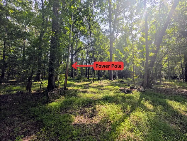 $45,000 | 0 Thicket Lane, St. Stephen, SC 29479