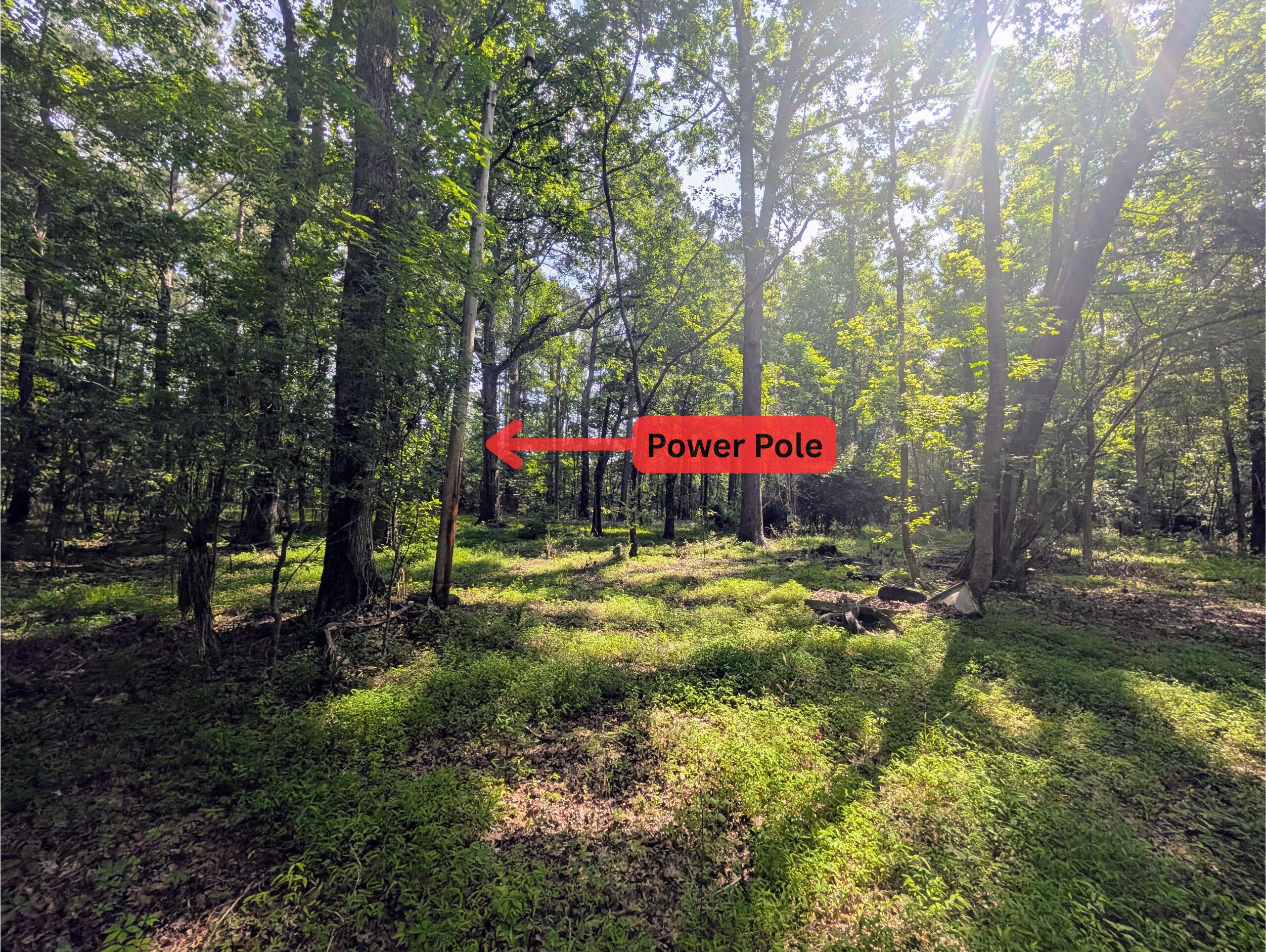 0 Thicket Lane St. Stephen, SC 29479 - Photo 5 of 14 Power Pole