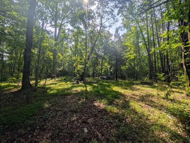 $45,000 | 0 Thicket Lane, St. Stephen, SC 29479