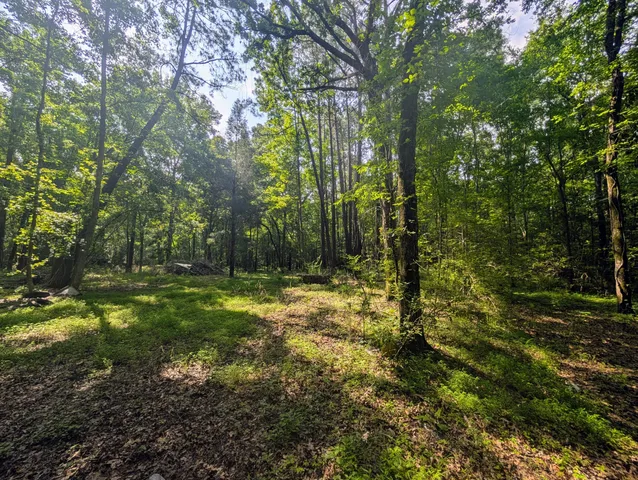 $45,000 | 0 Thicket Lane, St. Stephen, SC 29479