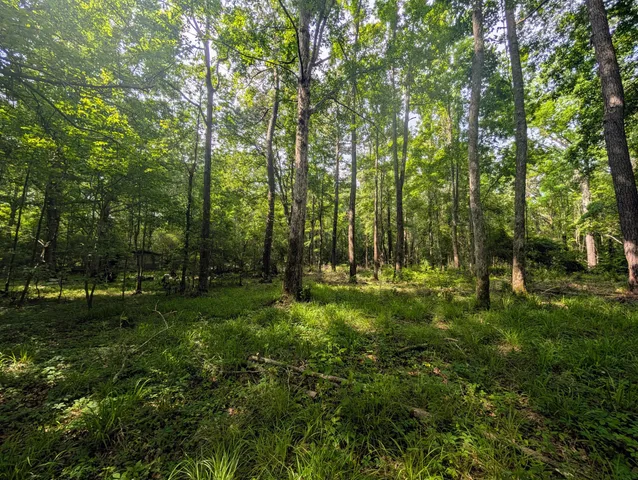 $45,000 | 0 Thicket Lane, St. Stephen, SC 29479