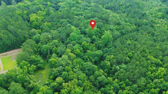 $45,000 | 0 Thicket Lane, St. Stephen, SC 29479