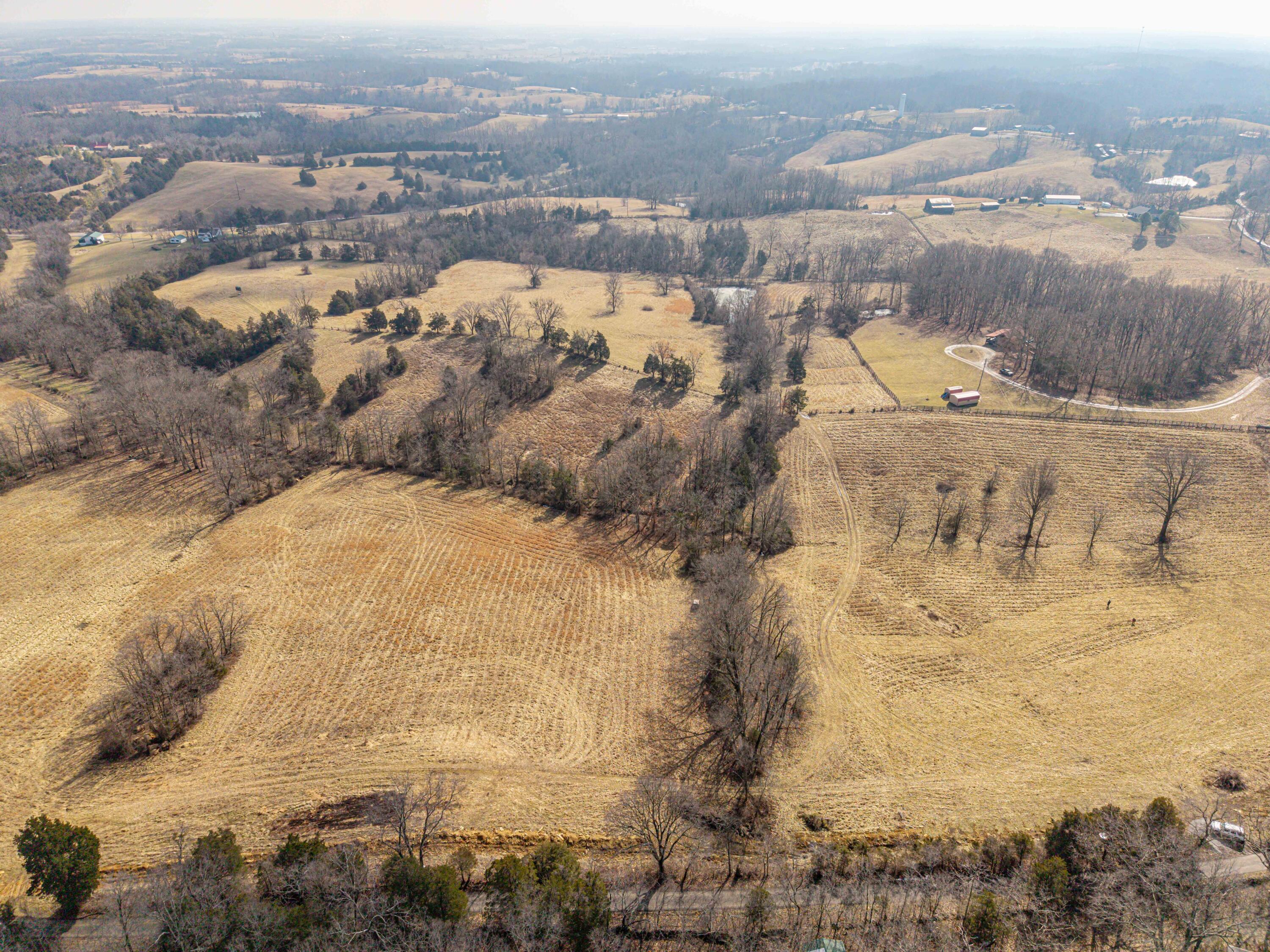 Lot 4 Delaney Road Lawrenceburg, KY 40342 - Photo 7 of 21 DJI_20260216140354_0326_D
