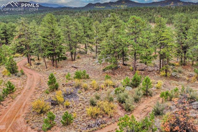 1321 Stoll Ranch Road Lake George, CO 80827 - Photo 41 of 50 Gallery Image 41