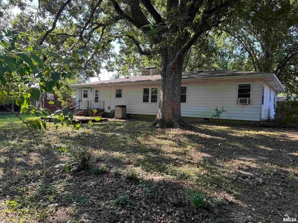 a view of a tree in a garden