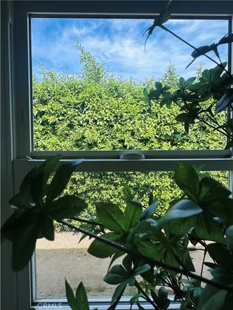 a picture of flowers