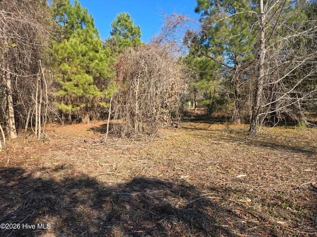 $199,000 | 203 Moores Landing Court, Hampstead, NC 28443