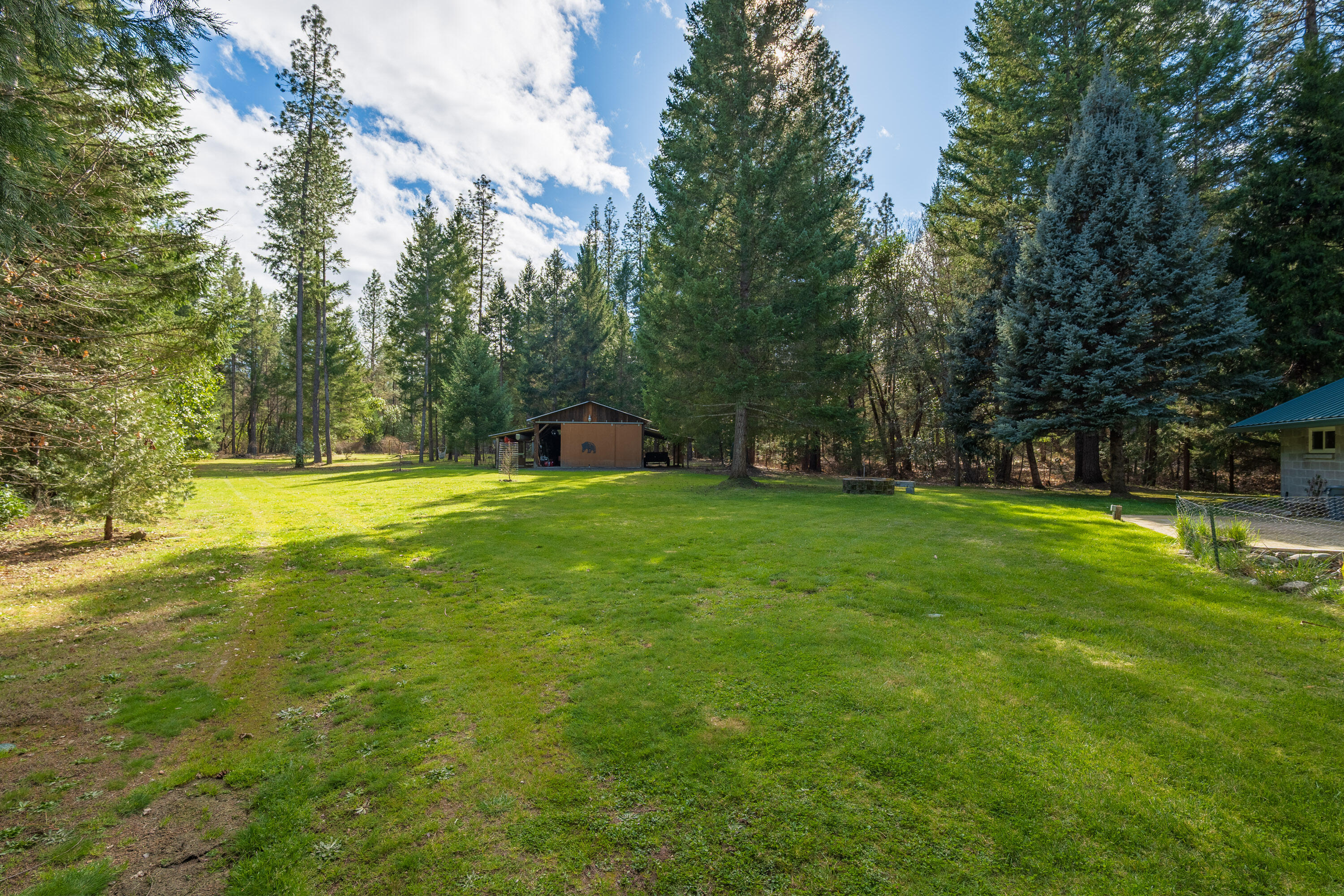 244 Riessen Road Grants Pass, OR 97526 - Photo 39 of 52 a view of green field with trees in the background