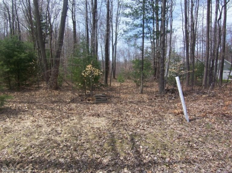 V/l North Peterson Road Muskegon, MI 49445 - Photo 1 of 1 20171012194144800727000000-o
