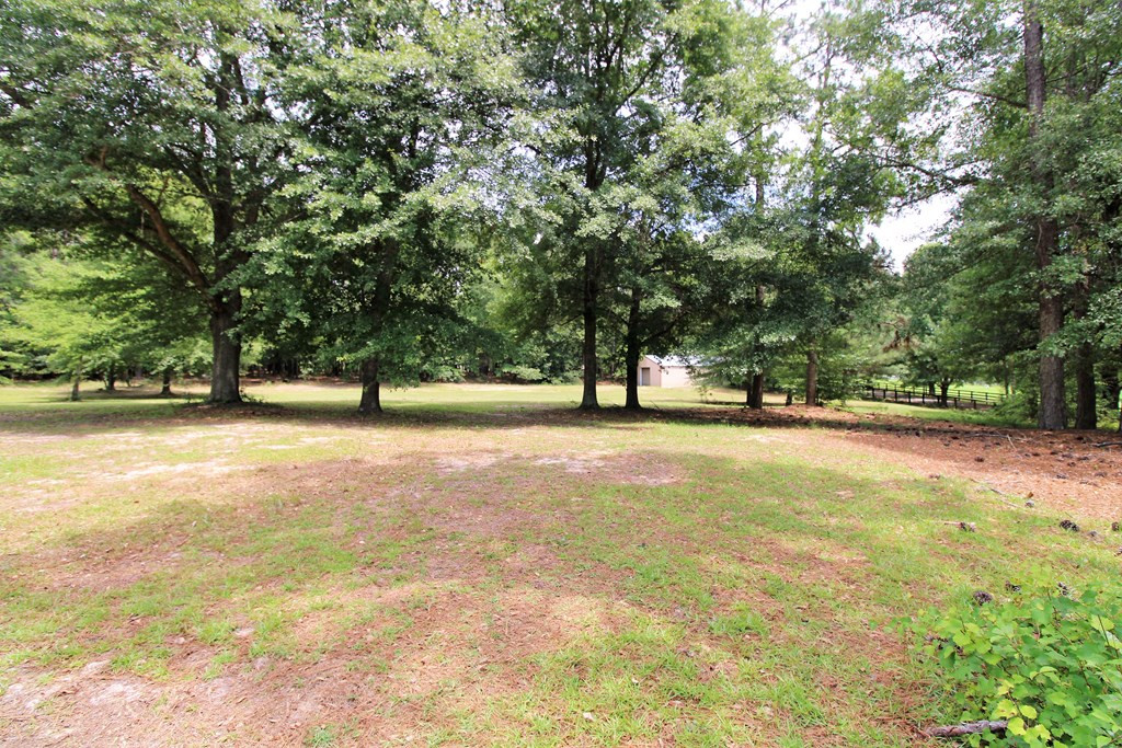 3028 Banks Mill Road Southeast Aiken, SC 29803 - Photo 19 of 23