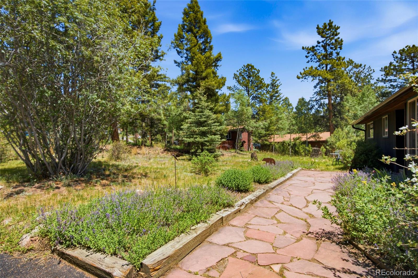 31280 Florence Road Conifer, CO 80433 - Photo 31 of 48 a view of a back yard