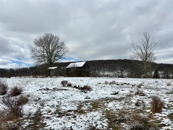 $299,999 | 14 Frelich Rd/t R 28, Fremont Center, NY 12736