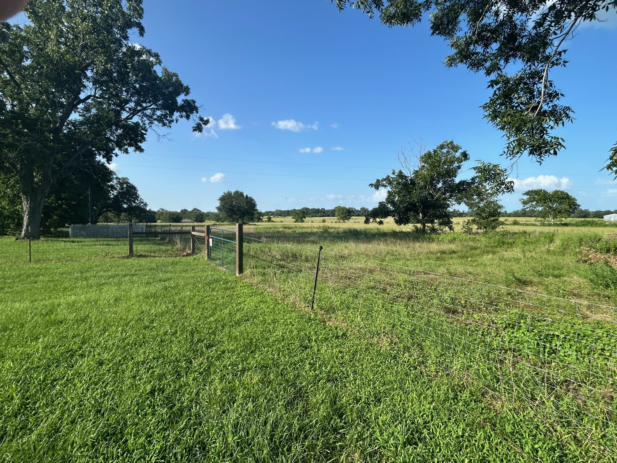 38094 Joe Loggins Road Hempstead, TX 77445 - Photo 31 of 32 a view of a garden with a tree