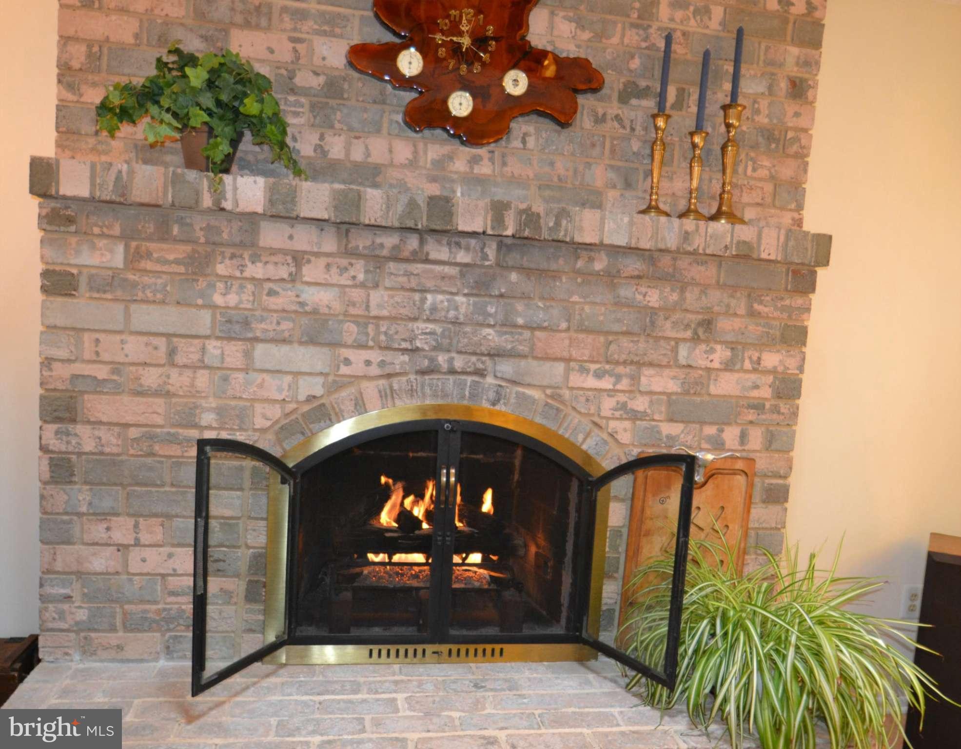8538 Autumn Rust Road Ellicott City, MD 21043 - Photo 11 of 30 Arched gas fireplace with screen and doors