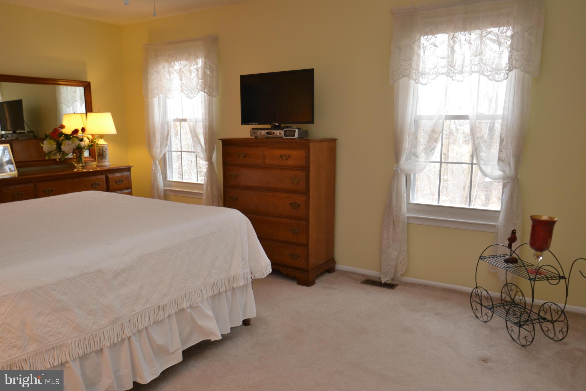 8538 Autumn Rust Road Ellicott City, MD 21043 - Photo 17 of 30 Huge Master Bedroom