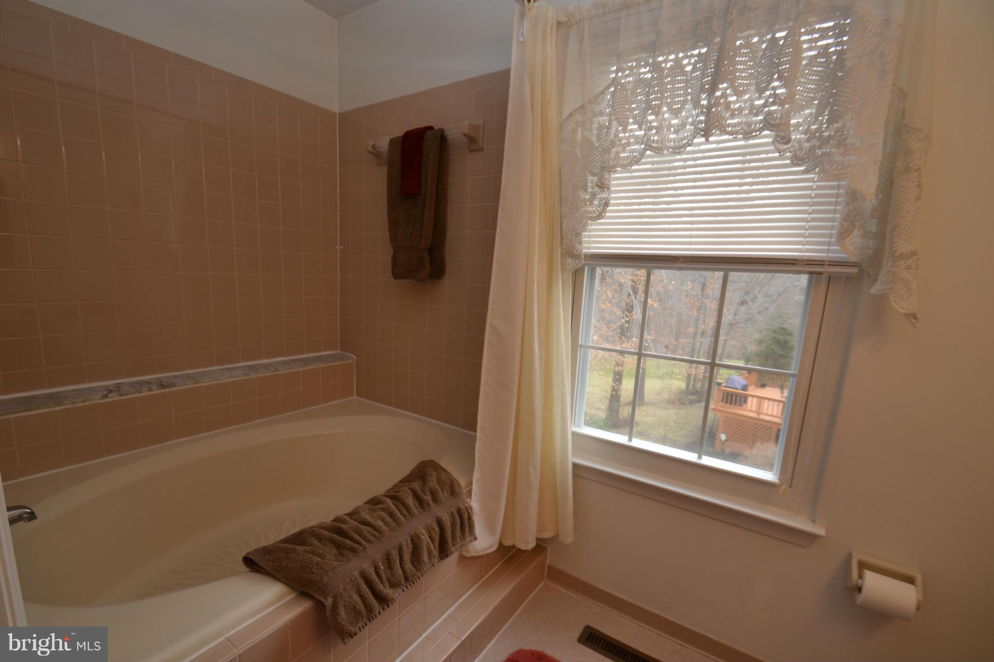 8538 Autumn Rust Road Ellicott City, MD 21043 - Photo 19 of 30 Master Bath with soaking tub