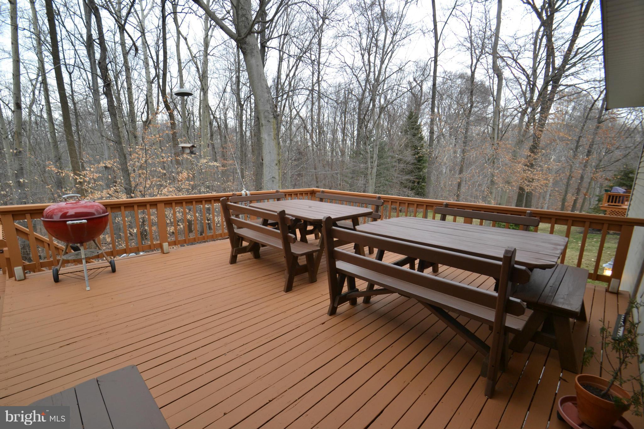 8538 Autumn Rust Road Ellicott City, MD 21043 - Photo 25 of 30 Large Deck overlooking wooded open space