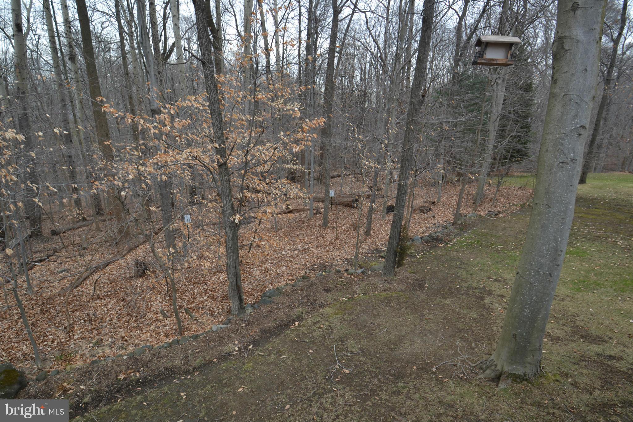 8538 Autumn Rust Road Ellicott City, MD 21043 - Photo 28 of 30 View from rear deck