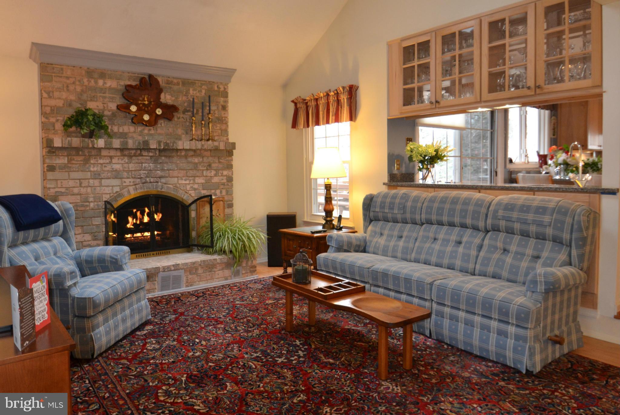 8538 Autumn Rust Road Ellicott City, MD 21043 - Photo 10 of 30 Cozy family room with vaulted ceiling and skylight