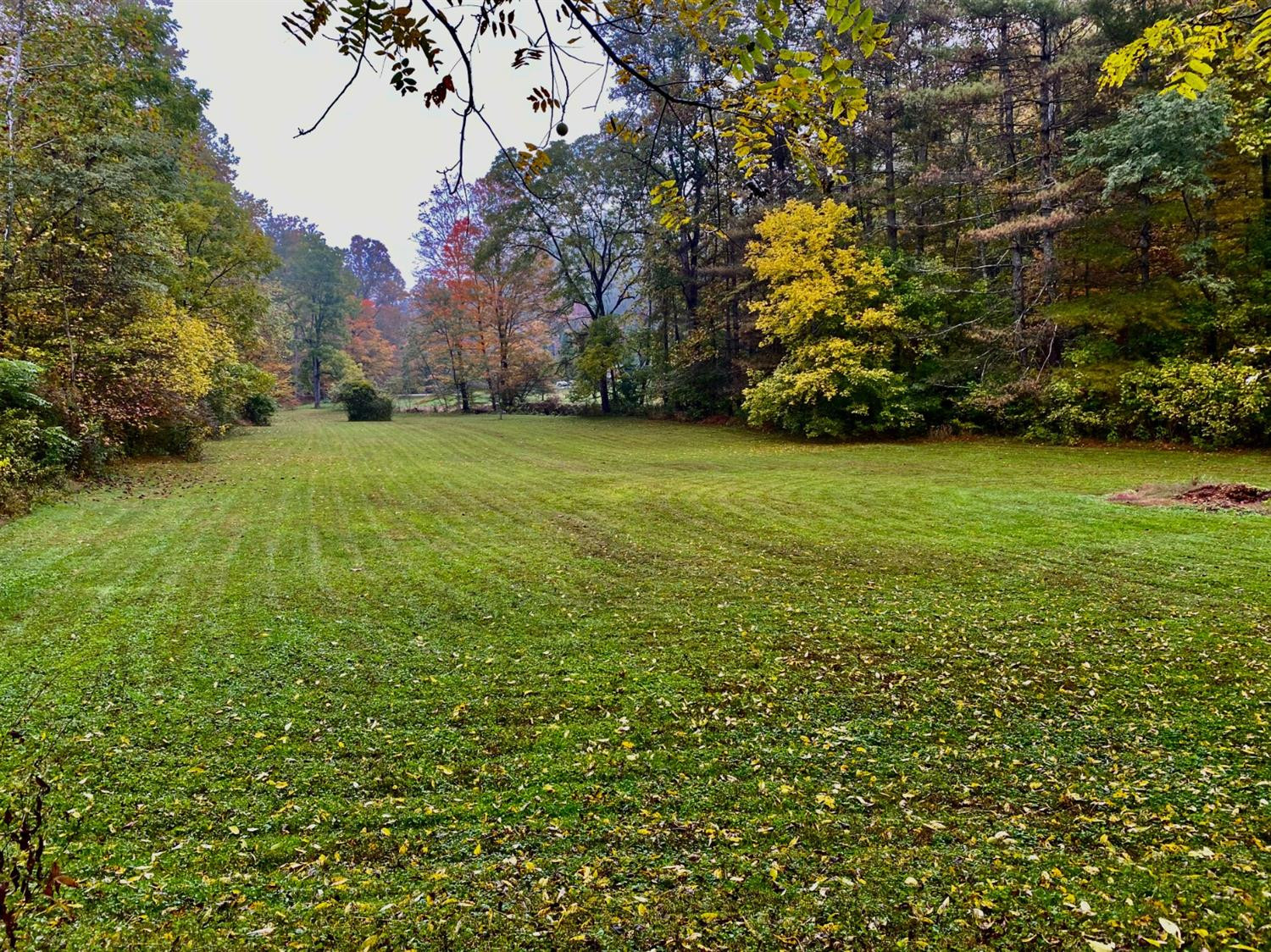 840 Little Perry Road Morehead, KY 40351 - Photo 79 of 98 Photo 79