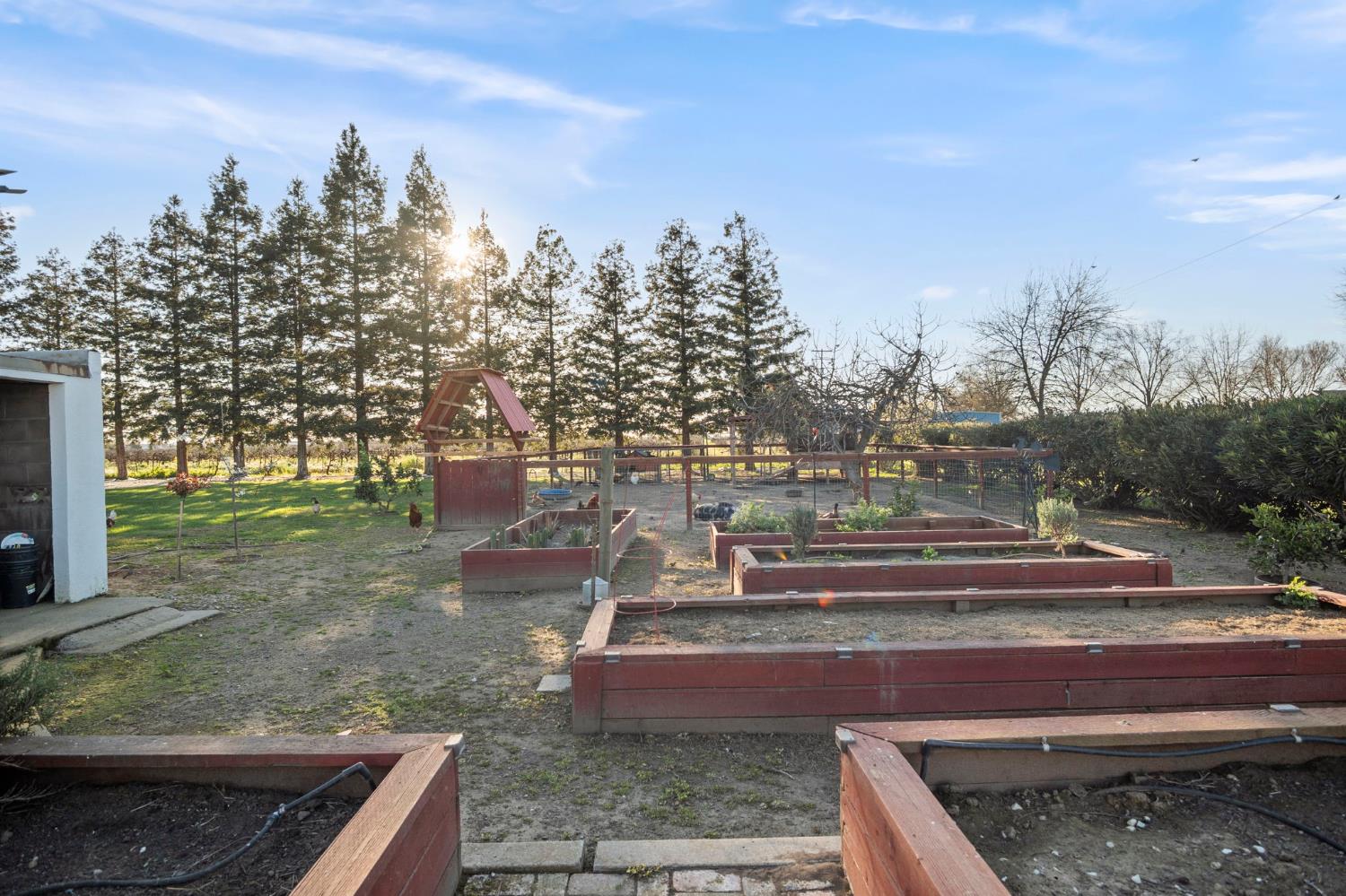 20201 Dustin Road Acampo, CA 95220 - Photo 20 of 23 a view of a yard with an trees