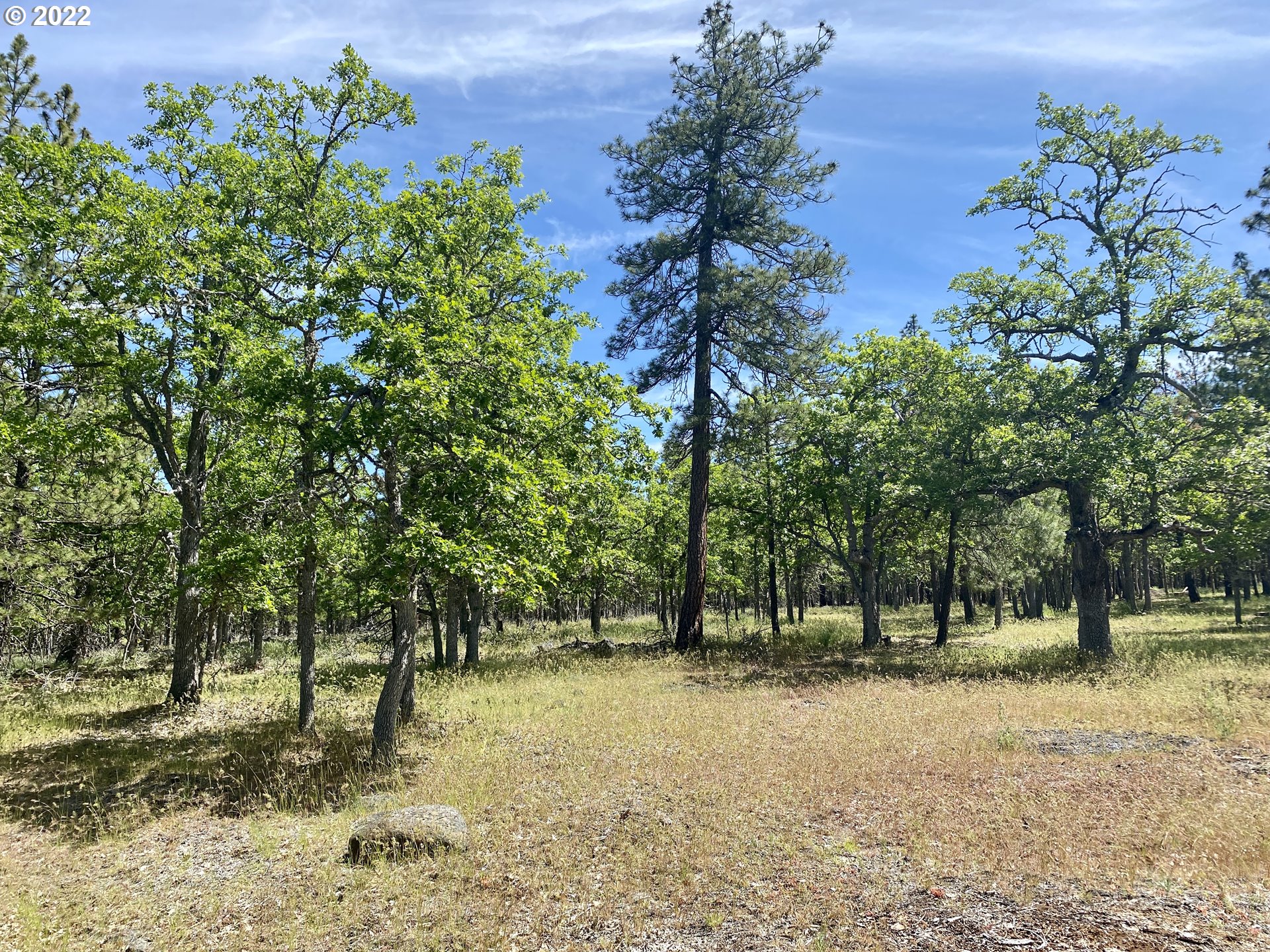 116 Meacham Road Goldendale, WA 98620 - Photo 15 of 19 Gallery Image 15