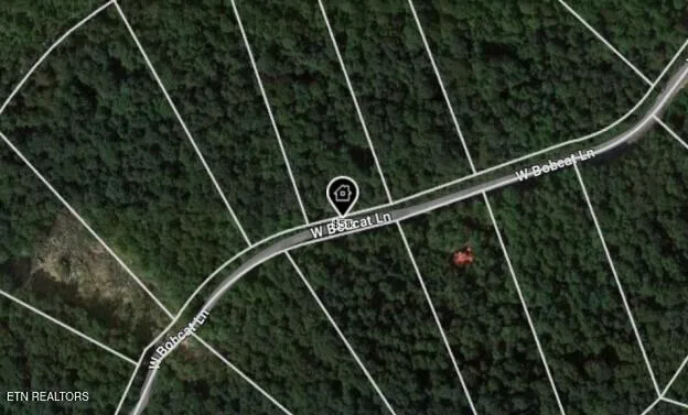 $35,000 | West Bobcat Lane, Wilder, TN 38589