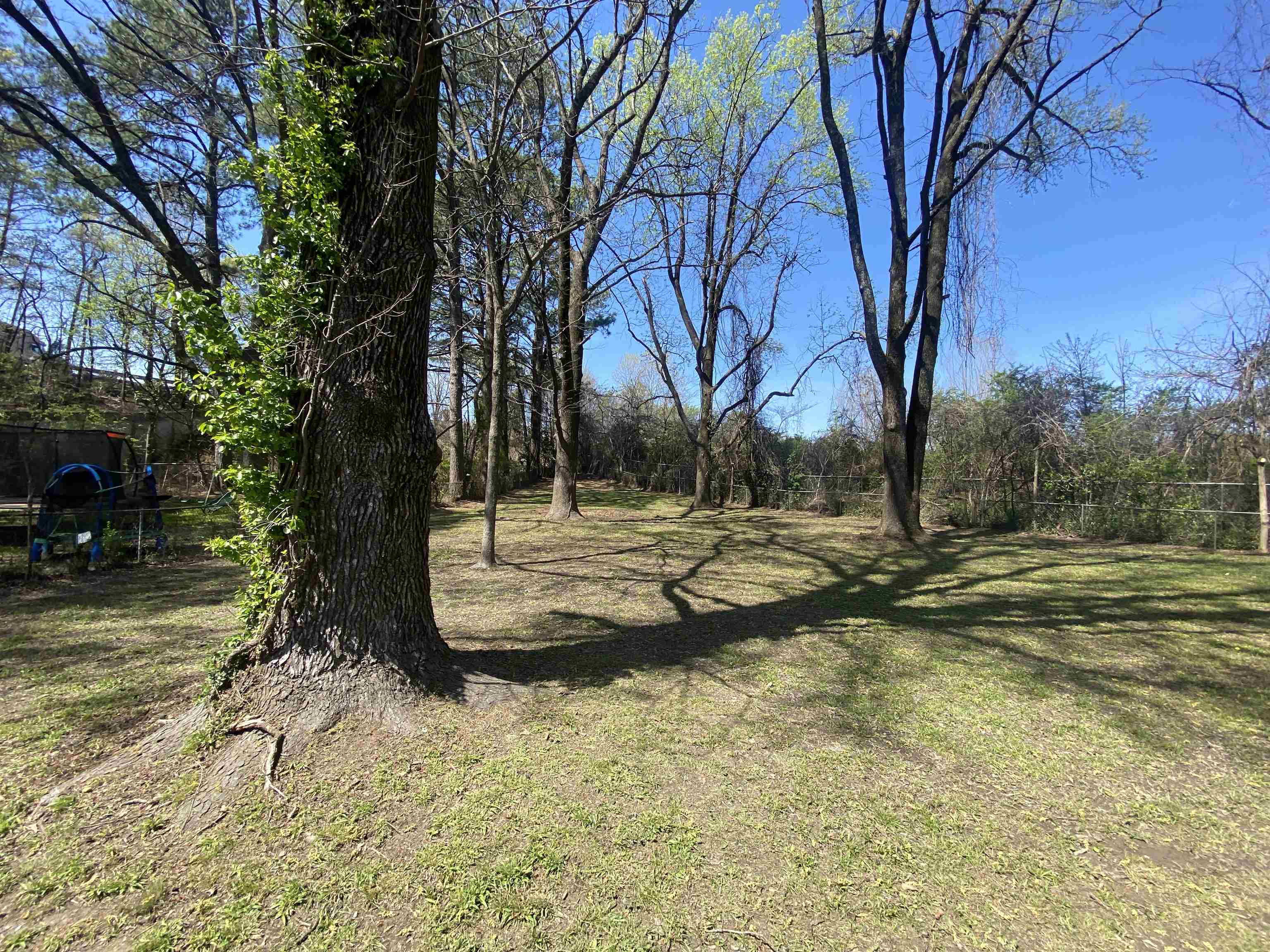 1764 Dale Lavern Road Memphis, TN 38116 - Photo 13 of 13
