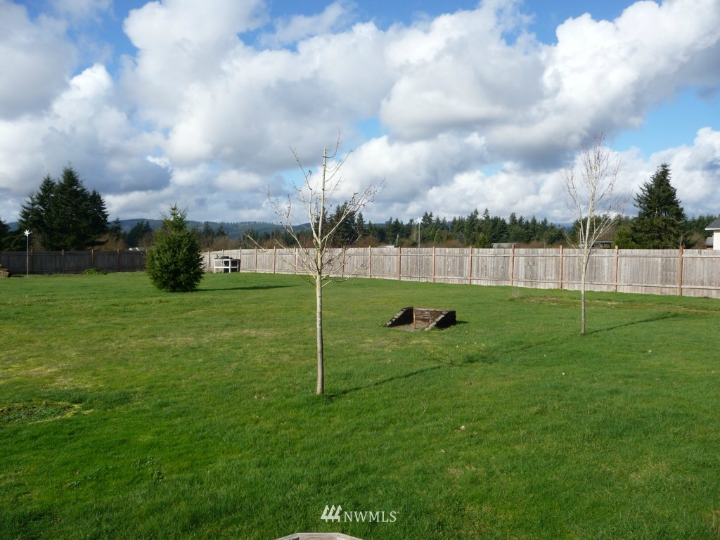 9206 Applegate Loop Southwest Rochester, WA 98579 - Photo 6 of 8
