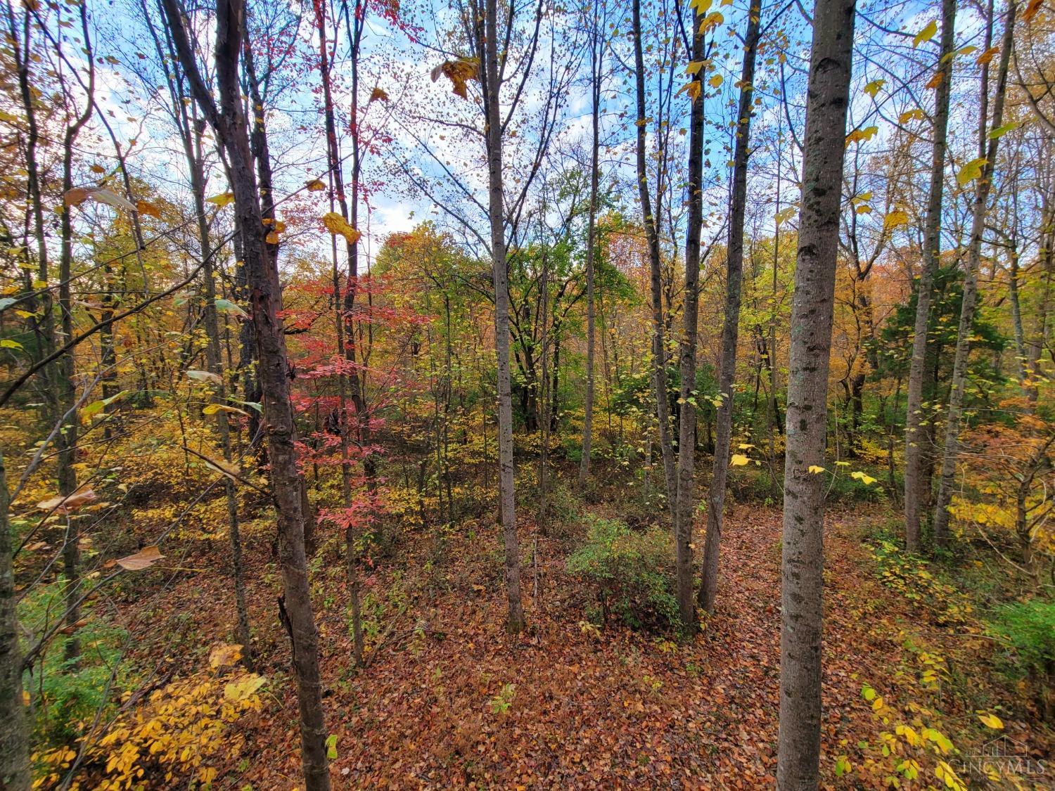 Ac Laurel-Moscow Road Moscow, OH 45153 - Photo 13 of 29 Gallery Image 13